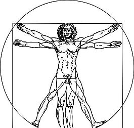 人體骨骼 結(jié)構(gòu)模型 矢量素材 eps格式_0043