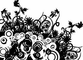 欧美花纹 矢量EPS_9346