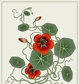 歐美花紋 矢量EPS_9319