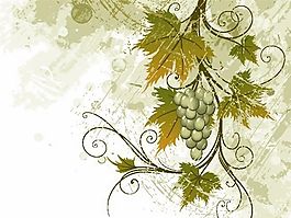 歐美花紋 矢量EPS_9318