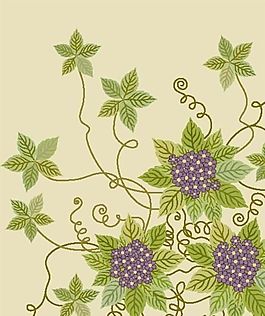 歐美花紋 矢量EPS_9307