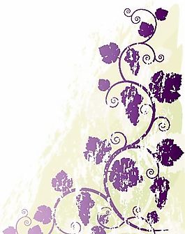 歐美花紋 矢量EPS_8899
