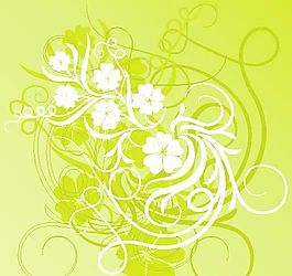 歐美花紋 矢量EPS_8898