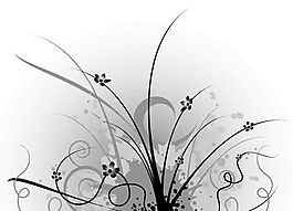 歐美花紋 矢量EPS_8828
