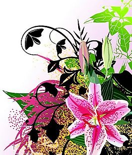 歐美花紋 矢量EPS_8684
