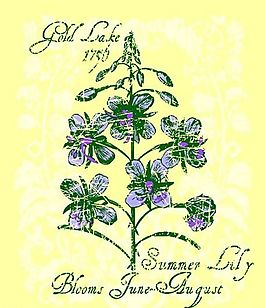 欧美花纹-8484 矢量CDR