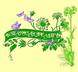 歐美花紋-8445 矢量CDR