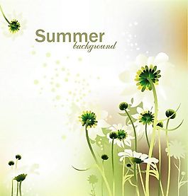 歐美花紋-8377 矢量EPS