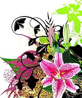 欧美花纹-8216 矢量CDR