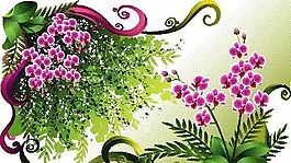 歐美花紋-4943 矢量EPS