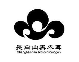 標志 設計