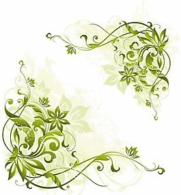 歐美花紋-4336 矢量EPS