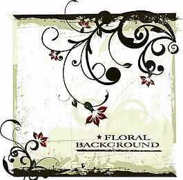 歐美花紋-3790 矢量EPS