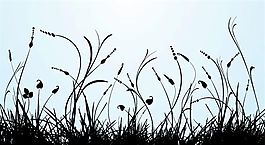 歐美花紋-3725 矢量EPS