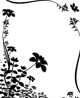 歐美花紋-3657 矢量EPS