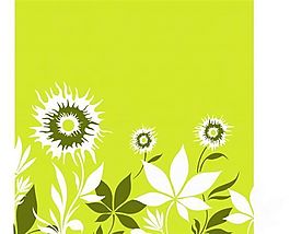 歐美花紋-2348 矢量EPS