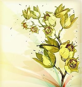 歐美花紋-2029 矢量EPS