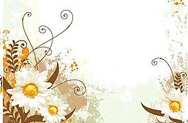 欧美花纹-1577 矢量EPS