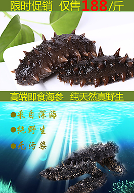 海參詳情頁