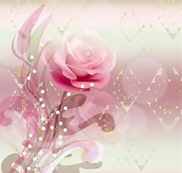歐美花紋-697 矢量CDR