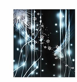 欧美花纹-620 矢量CDR
