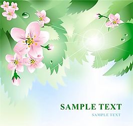 歐美花紋-138 矢量CDR
