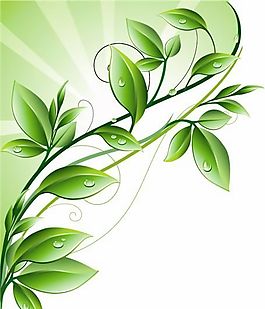欧美花纹-090 矢量CDR