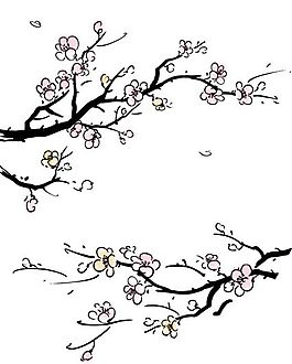 花卉圖案