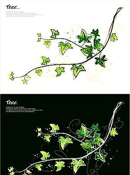 花卉圖案