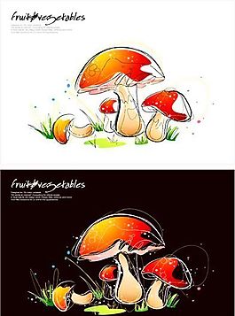 花卉圖案