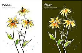 花卉圖案