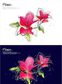 花卉圖案