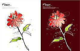 花卉圖案