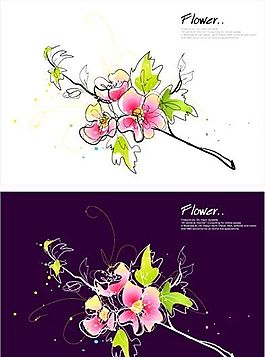 花卉圖案