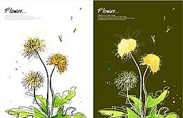 花卉圖案
