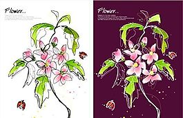 花卉圖案