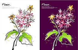 花卉圖案