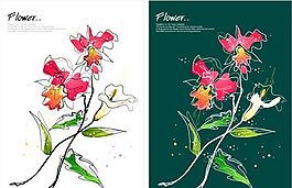花卉圖案