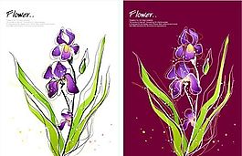 花卉圖案