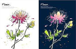 花卉圖案