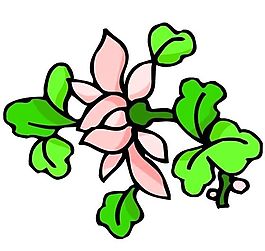古典裝飾圖案