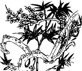 花草圖案 裝飾花草 矢量素材 AI格式_0045