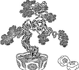 花草圖案 裝飾花草 矢量素材 AI格式_0037