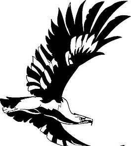 裝飾圖案 老鷹 鳥類圖騰矢量素材 ai格式_34