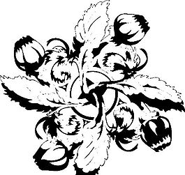 裝飾圖案 花紋 花朵 圖騰矢量素材 ai格式_130