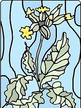 花草圖案 矢量 EPS_0174