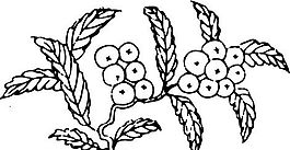 元明時(shí)代 矢量版畫(huà) 古典圖案 矢量中華五千年 AI源文件_0381