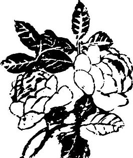 清代（下）版畫(huà) 裝飾畫(huà) 中華圖案五千年 矢量 AI格式_1034