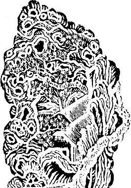 清代（下）版畫 裝飾畫 中華圖案五千年 矢量 AI格式_0021