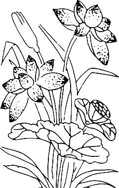 清代（上）版画 装饰画 中华图案五千年 矢量 AI格式_0737